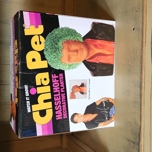 Hasselhoff Chia Pet - Picture 3 of 6